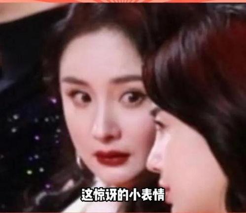 怎么看娱乐圈吃瓜视频,跟随吃瓜视频洞察幕后风云